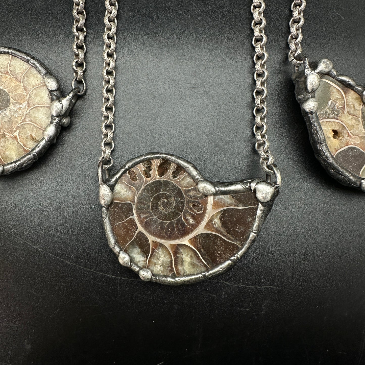 Fibonacci ~ Fossil Ammonite Necklace ~ Your Choice