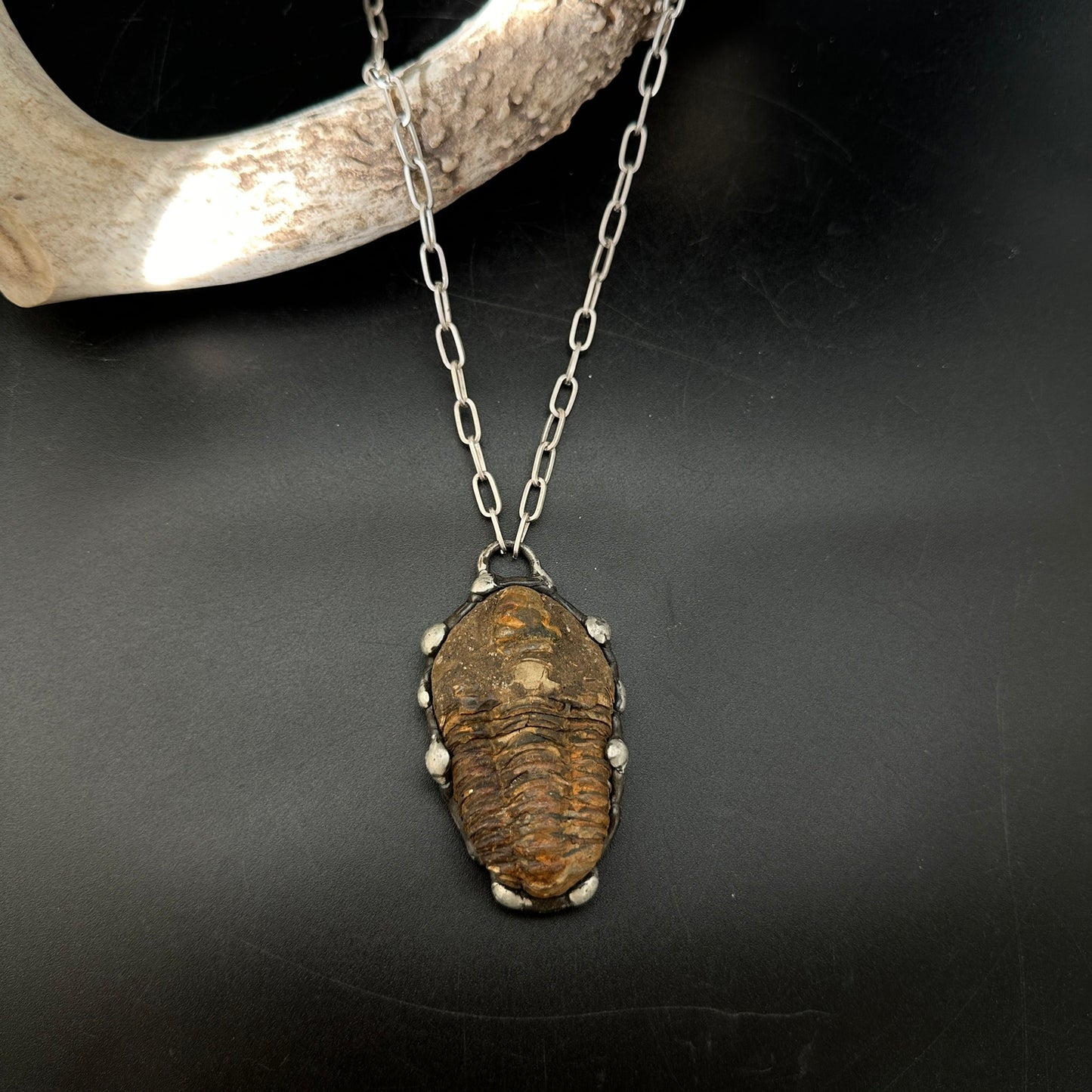 Ancients ~ Fossil Trilobite Necklace