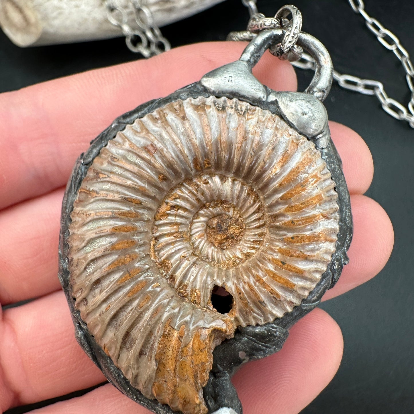 Spirals ~ Moroccan Fossil Ammonite Necklace