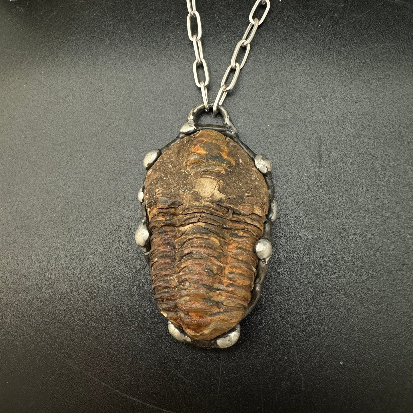 Ancients ~ Fossil Trilobite Necklace