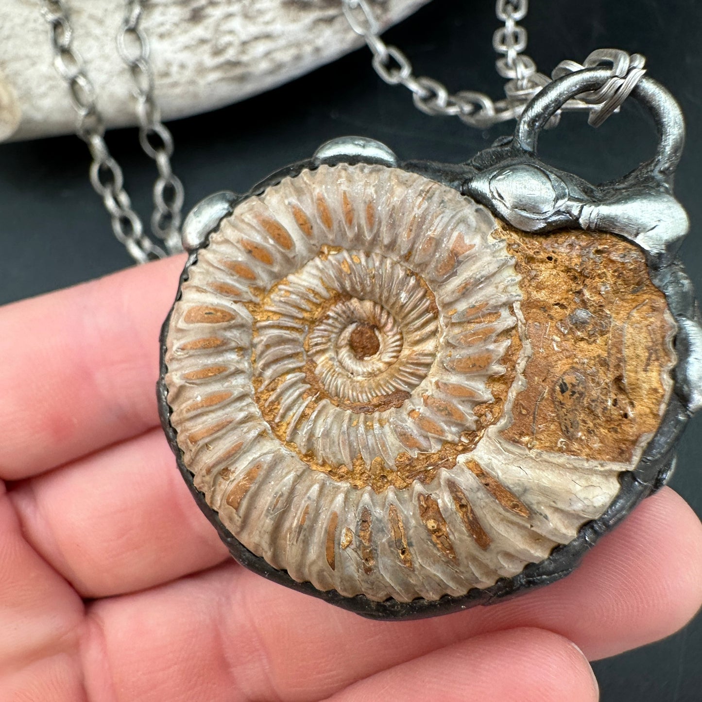 Spirals ~ Moroccan Fossil Ammonite Necklace