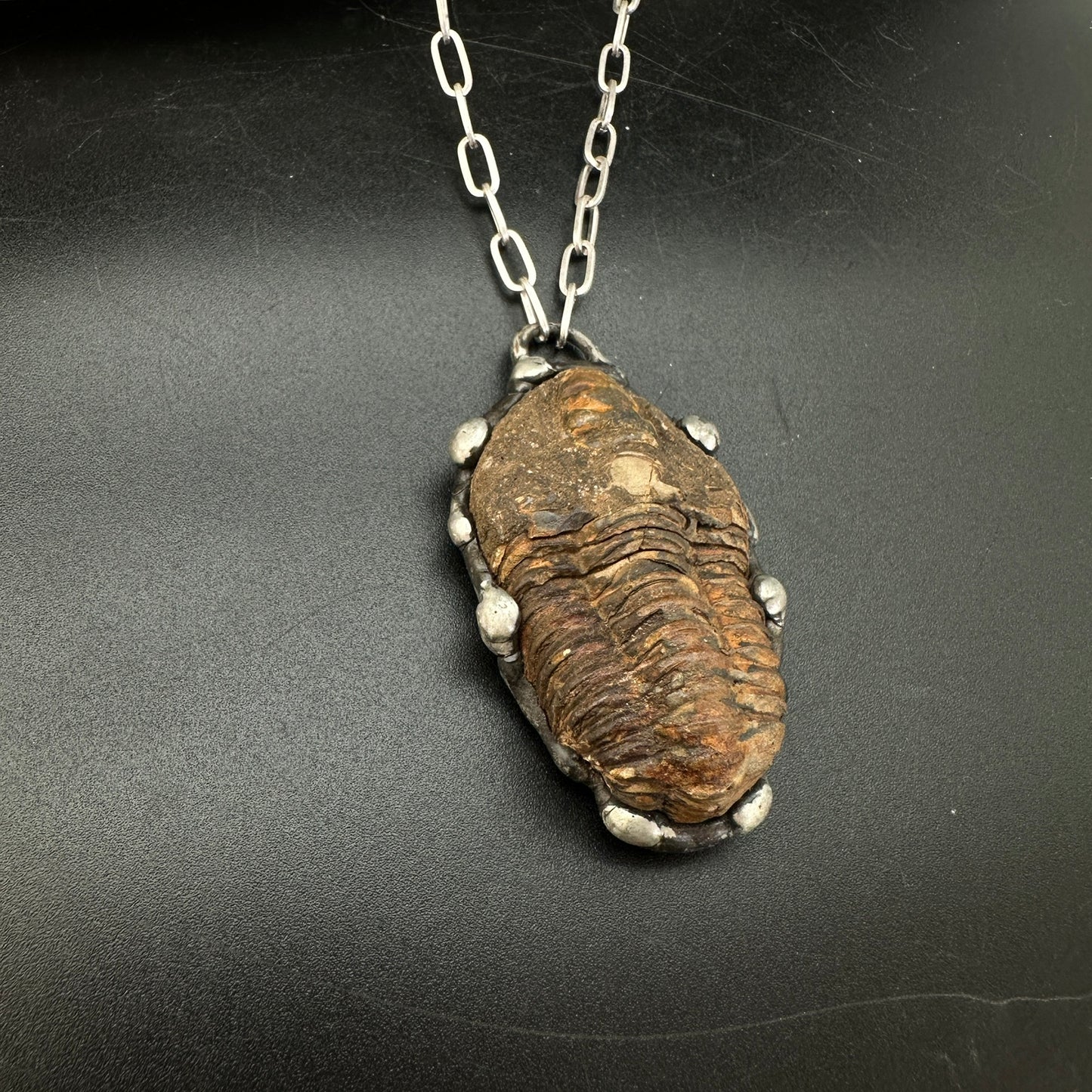 Ancients ~ Fossil Trilobite Necklace