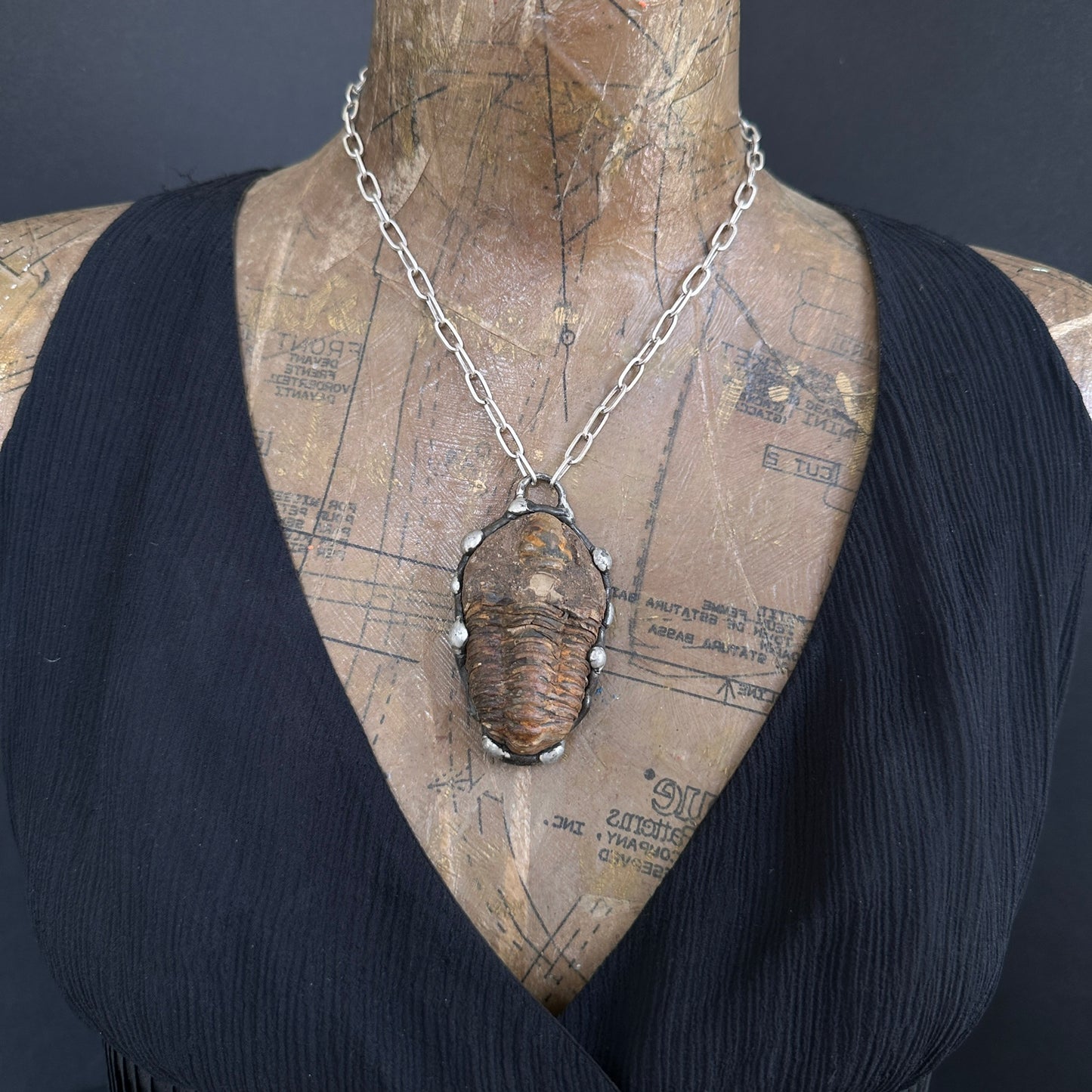 Ancients ~ Fossil Trilobite Necklace