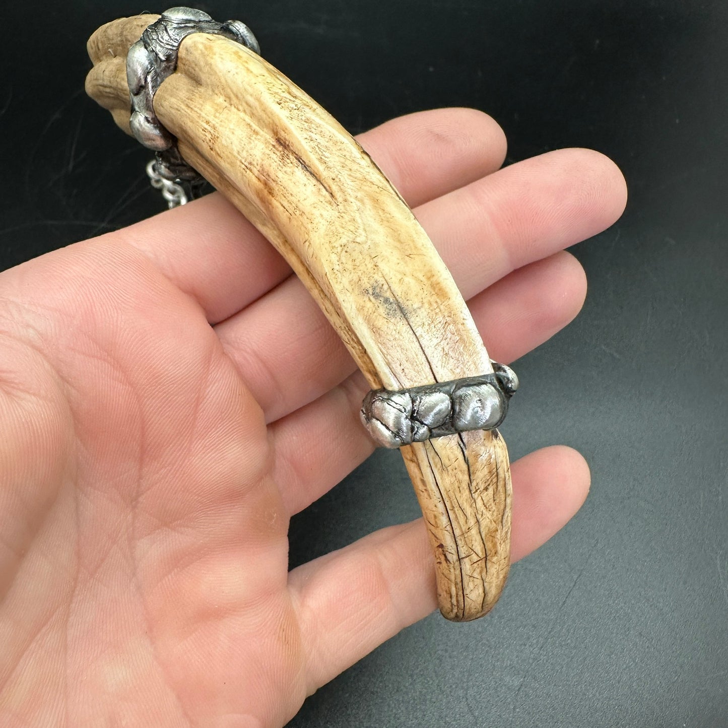 Rival ~ Boar Tusk Necklace