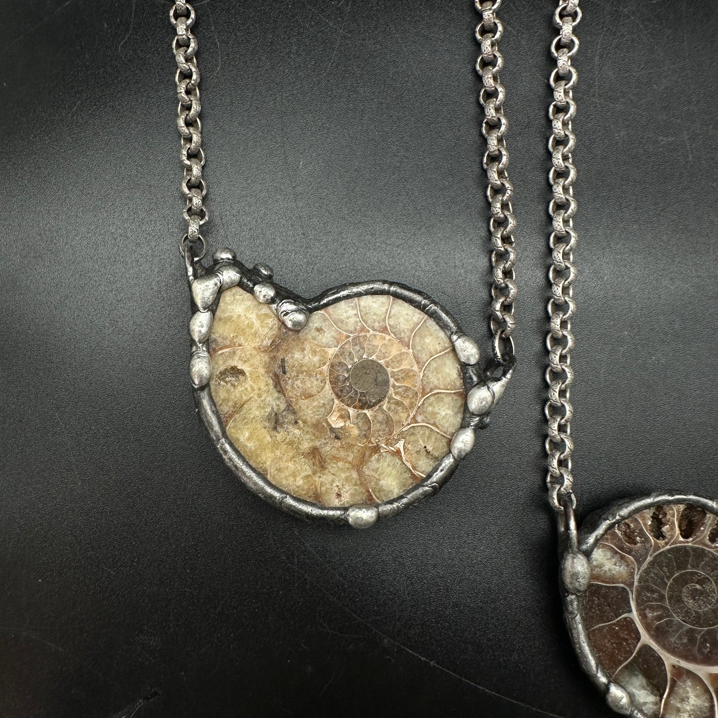 Fibonacci ~ Fossil Ammonite Necklace ~ Your Choice