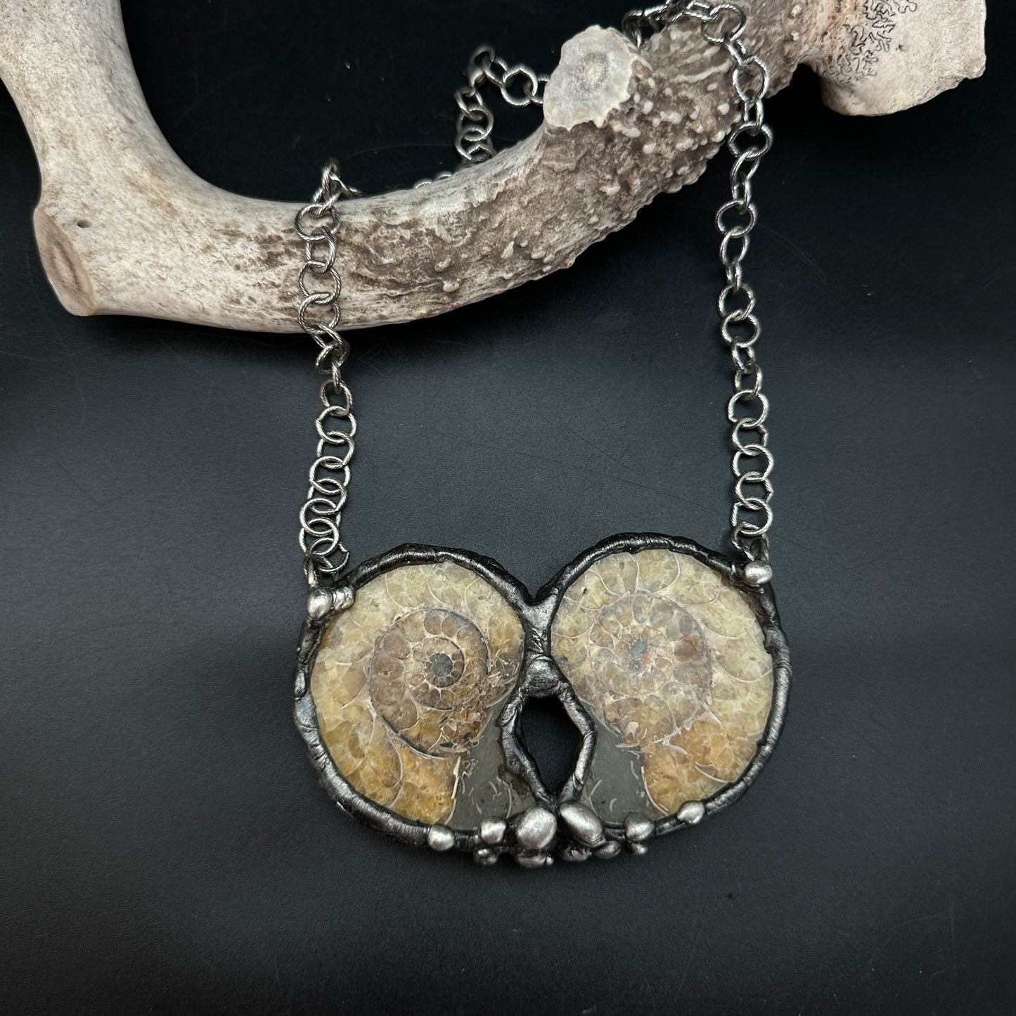 Twin Flame ~ Double Fossil Ammonite Necklace