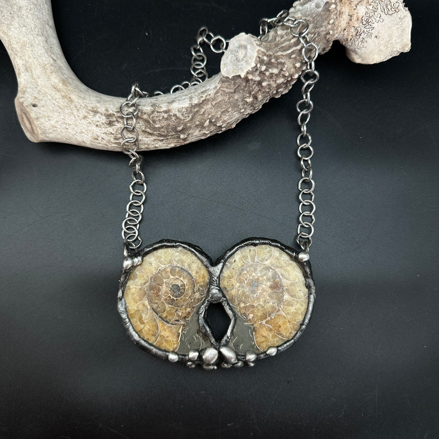 Twin Flame ~ Double Fossil Ammonite Necklace