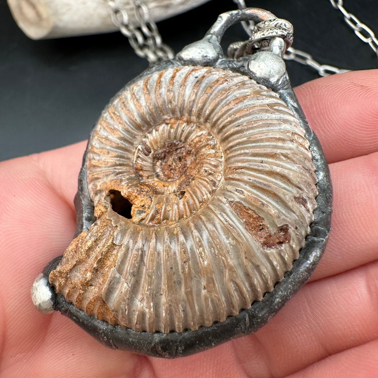 Spirals ~ Moroccan Fossil Ammonite Necklace