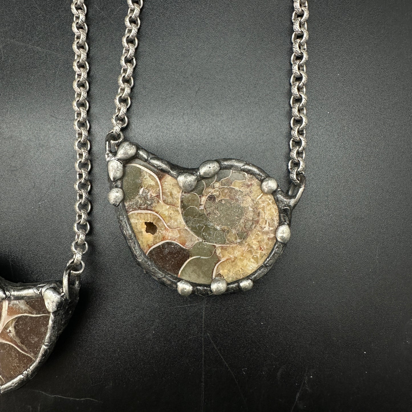 Fibonacci ~ Fossil Ammonite Necklace ~ Your Choice