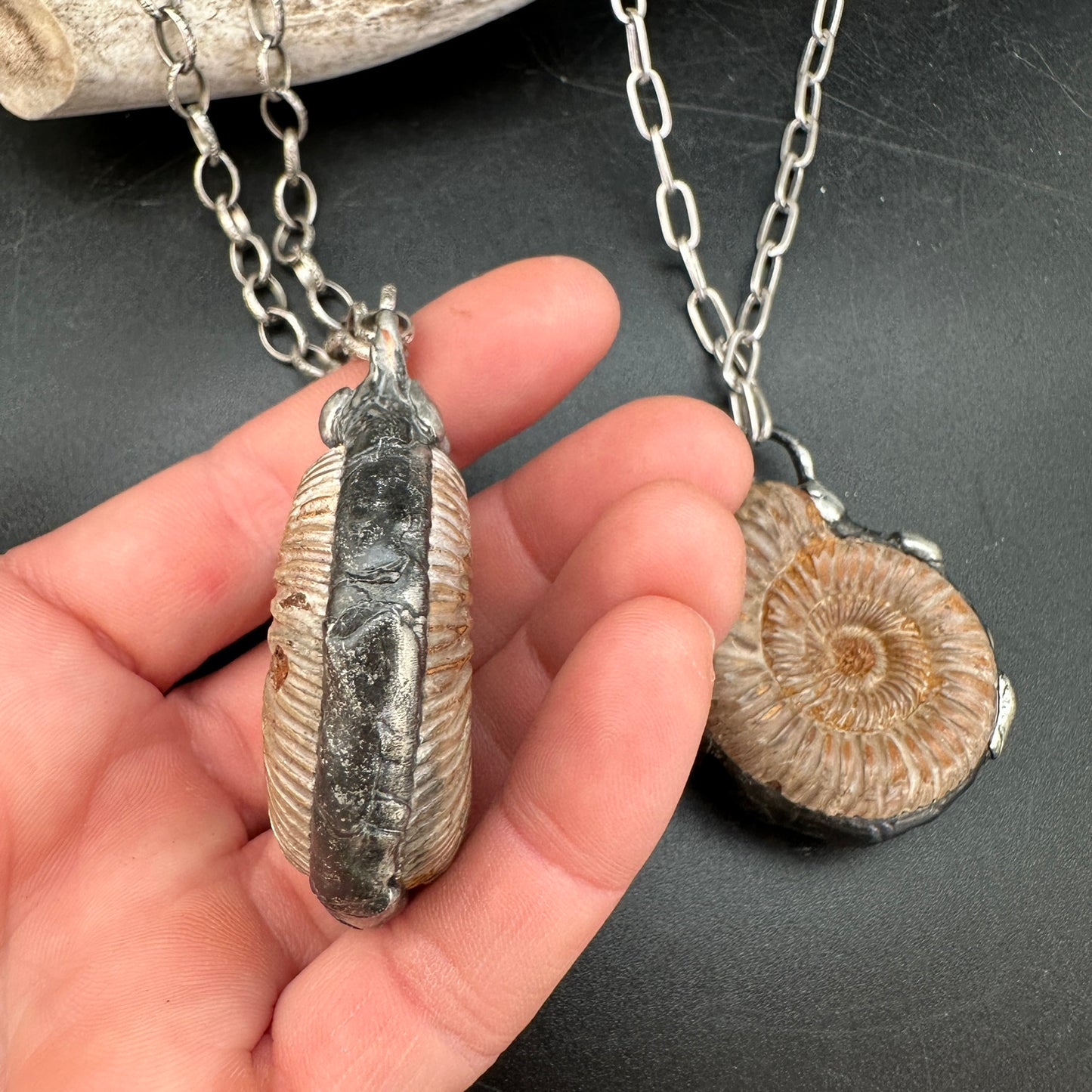 Spirals ~ Moroccan Fossil Ammonite Necklace