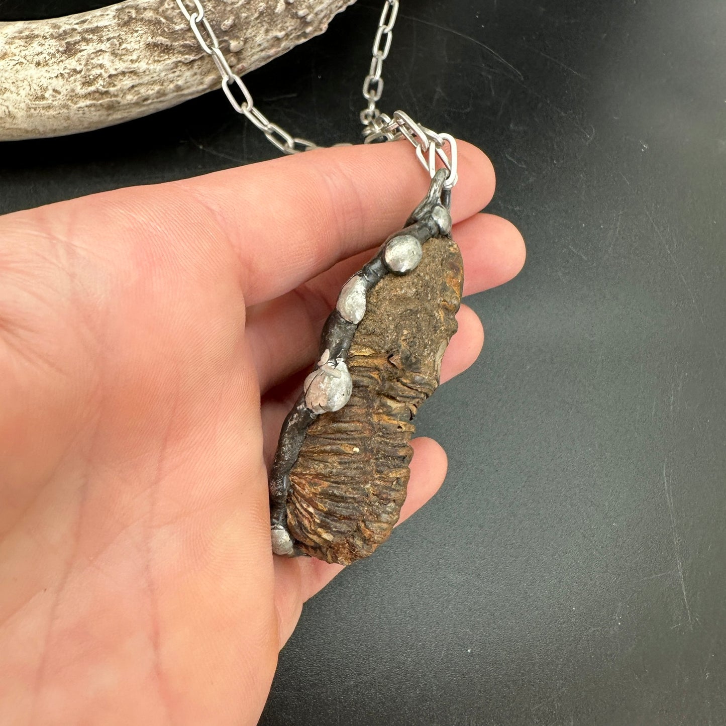 Ancients ~ Fossil Trilobite Necklace