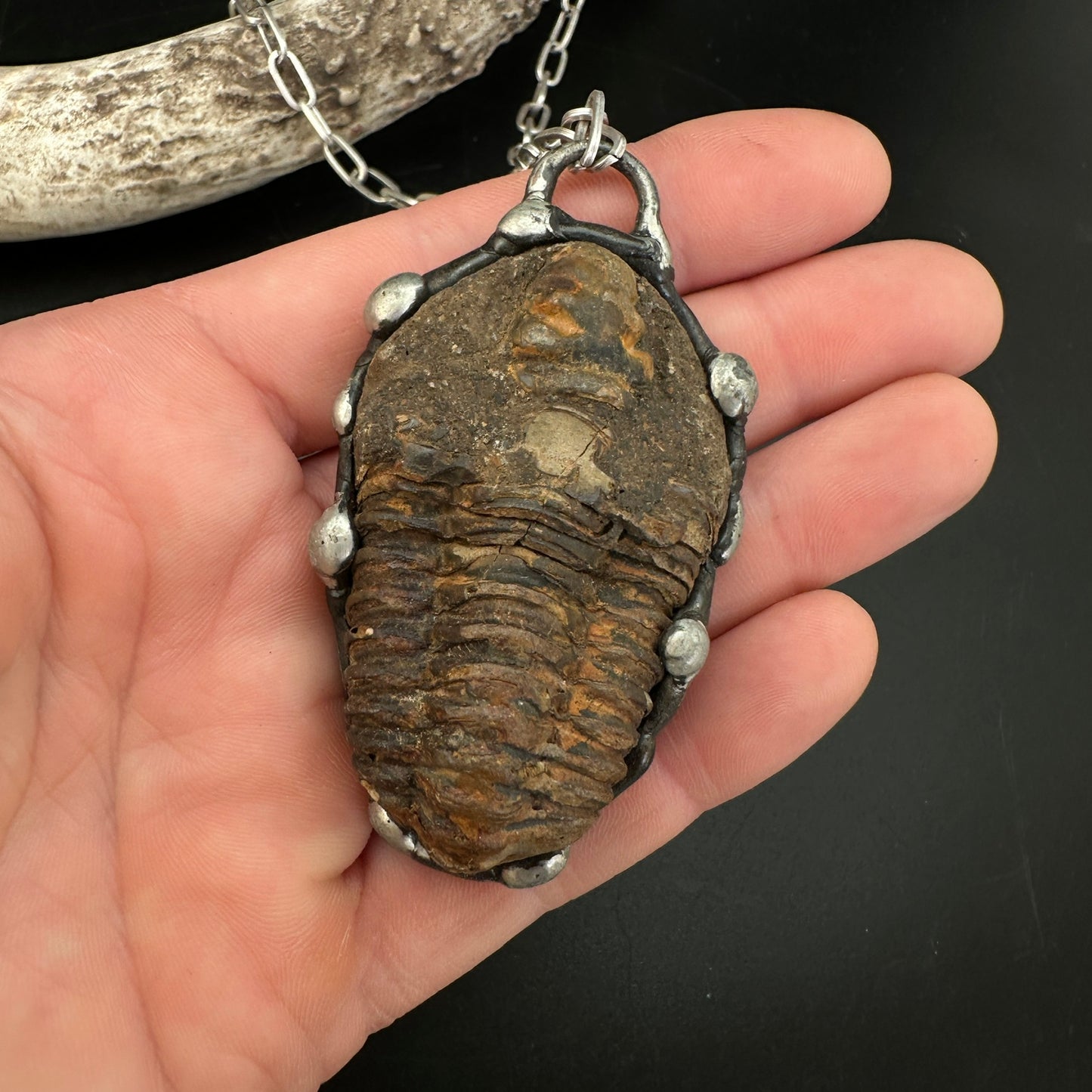 Ancients ~ Fossil Trilobite Necklace