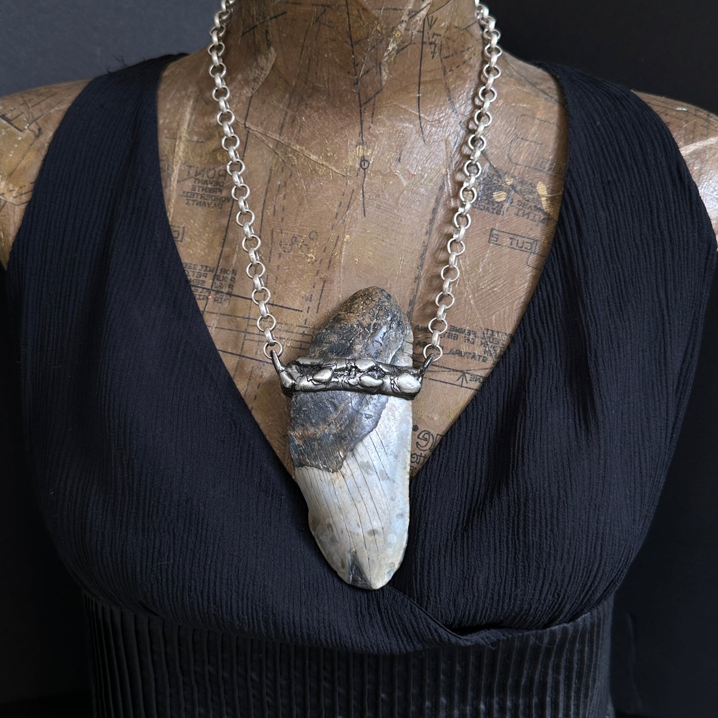 Meg ~ Megalodon Tooth Necklace