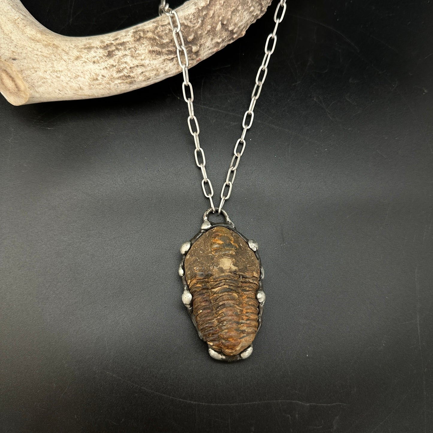 Ancients ~ Fossil Trilobite Necklace