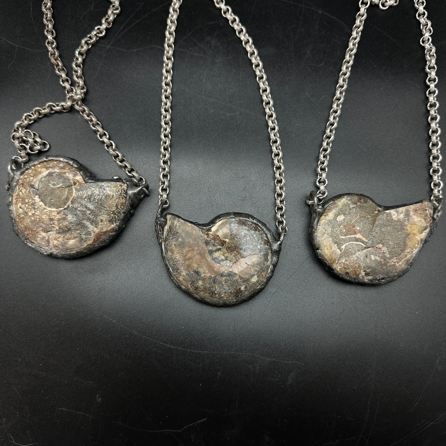 Fibonacci ~ Fossil Ammonite Necklace ~ Your Choice