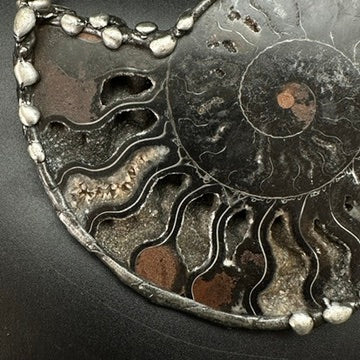 Fibonacci ~ Massive Fossil Ammonite Necklace