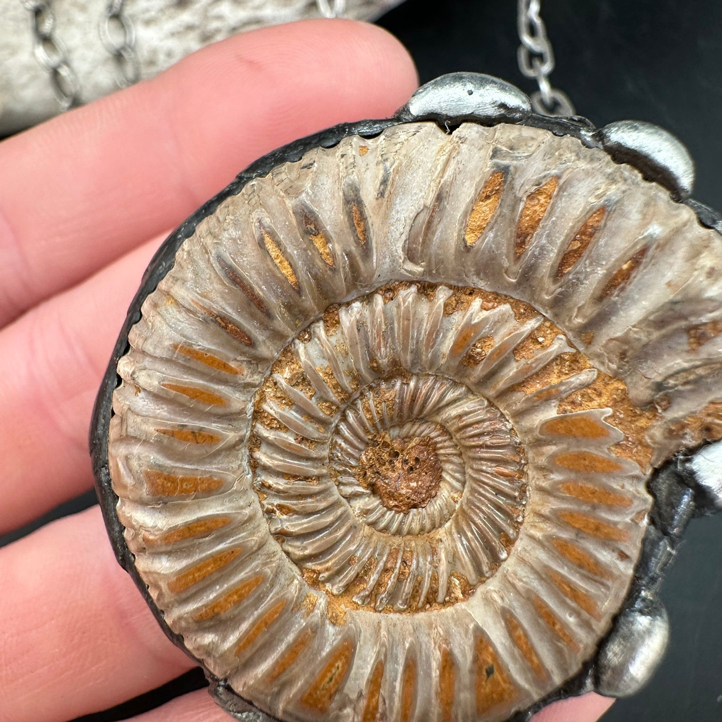 Spirals ~ Moroccan Fossil Ammonite Necklace