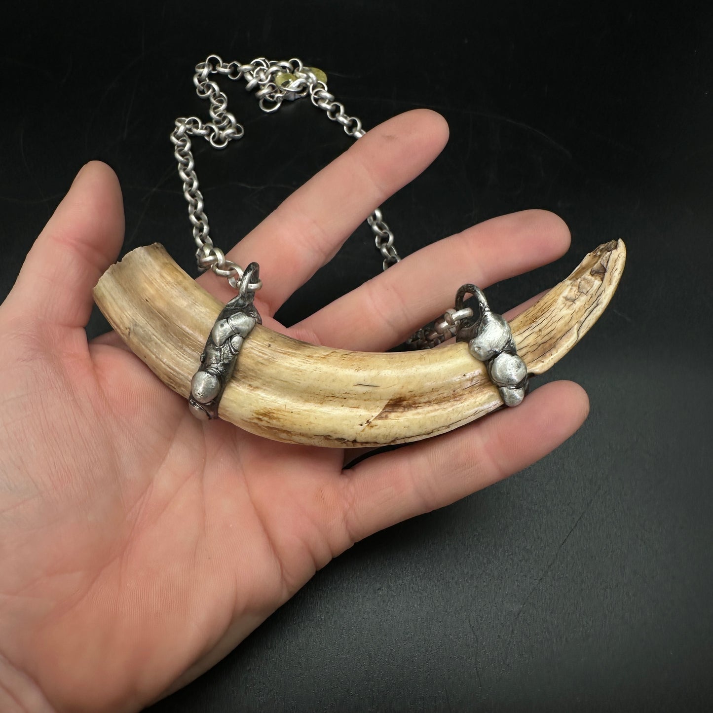 Rival ~ Boar Tusk Necklace