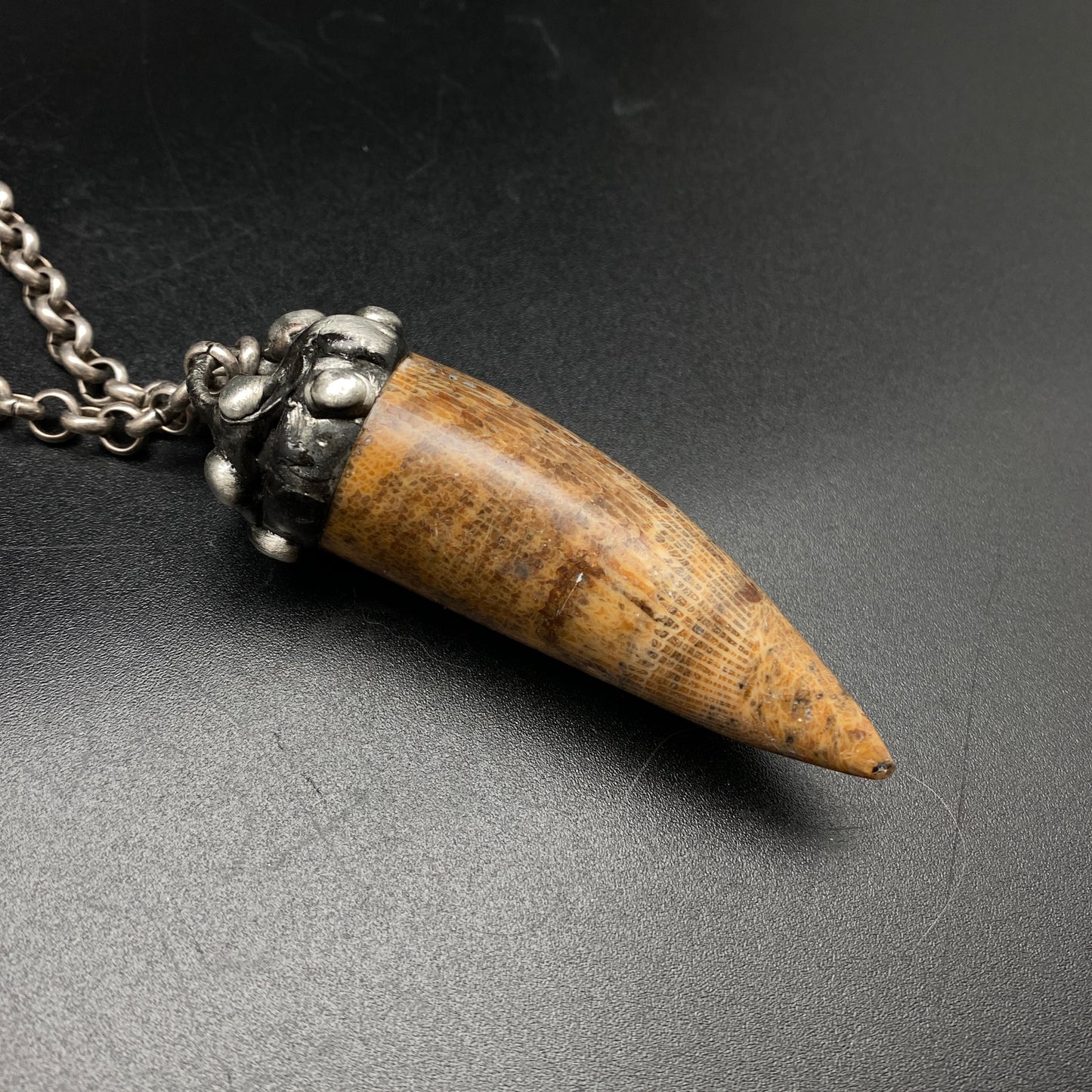 Horus ~ Fossil Horn Coral Necklace