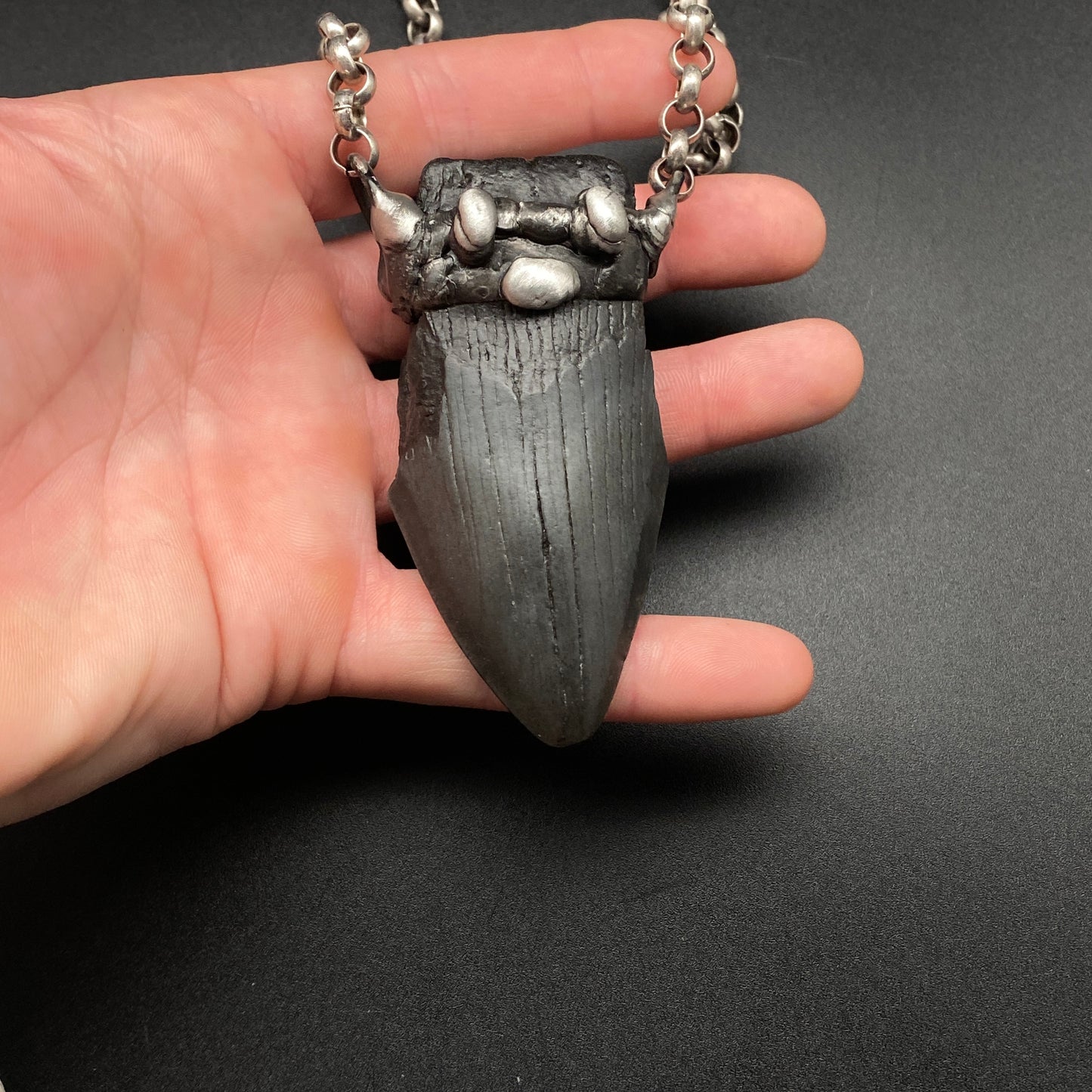Aquatic Monster ~ Megalodon Tooth Necklace